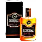 Parfums Eternel Cognac