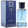  21  Iceburg